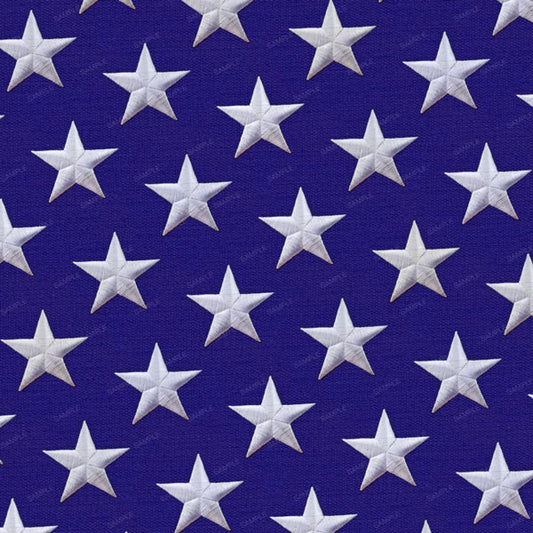 The Stars Peel and Stick Wallpaper