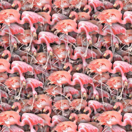 Pink Flamingo Peel and Stick Wallpaper