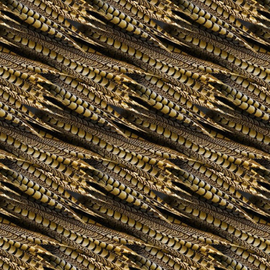 Pheasant Feather Wallpaper