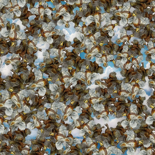 Quail Covey Wallpaper