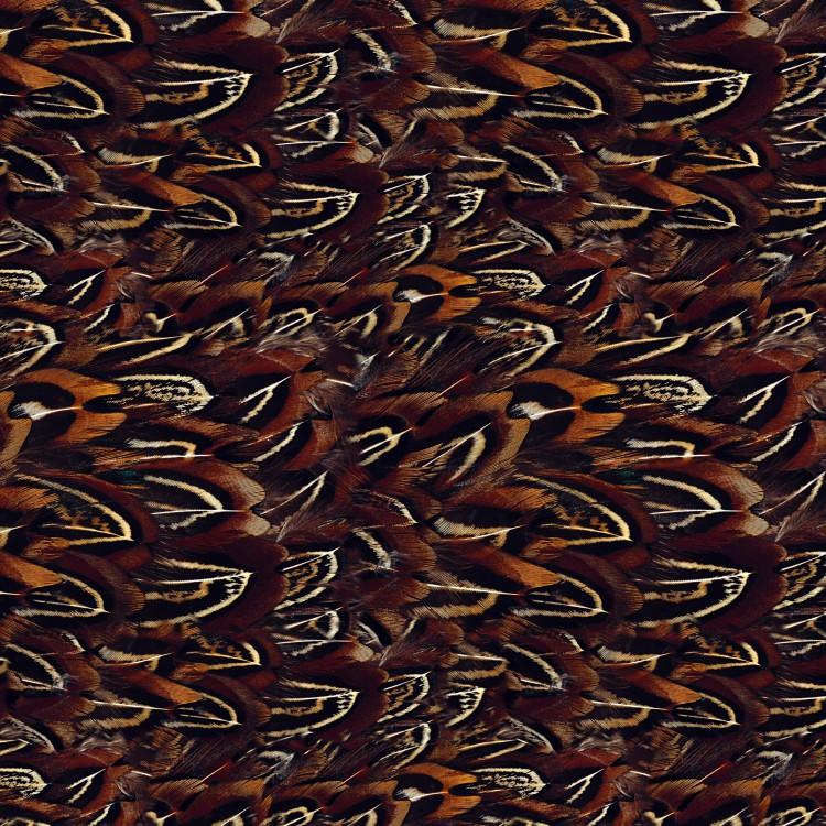 Pheasant Feather Wallpaper