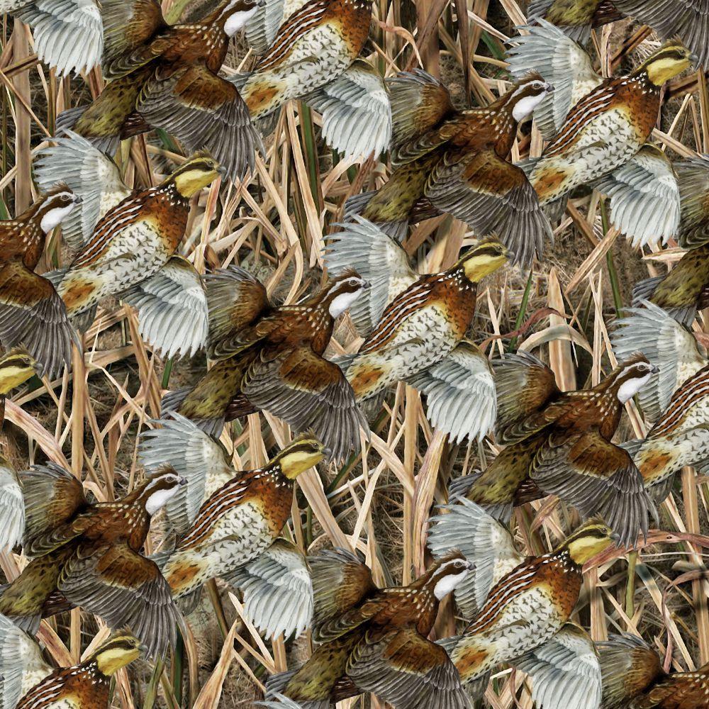 Quail Covey Wallpaper