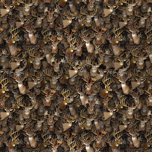 Whitetail Buck Shoulder Mount Wallpaper