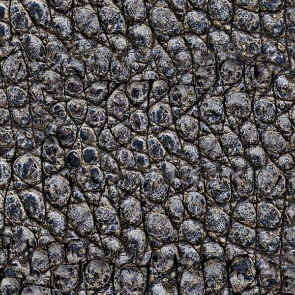 Alligator Skin Peel and Stick Wallpaper