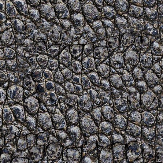 Alligator Skin Peel and Stick Wallpaper