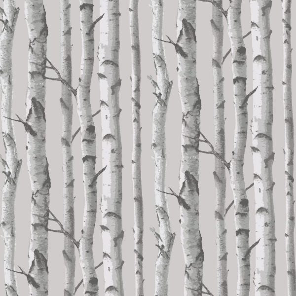 Birch Tree Forrest Peel and Stick Wallpaper