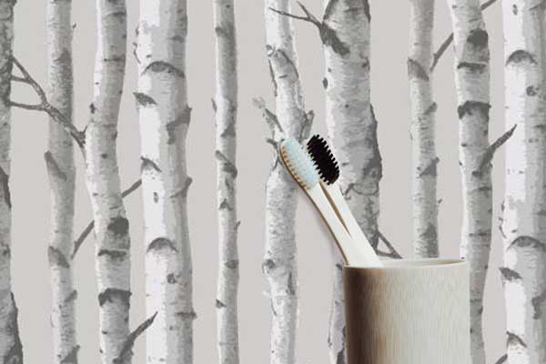 Birch Tree Forrest Peel and Stick Wallpaper bathroom