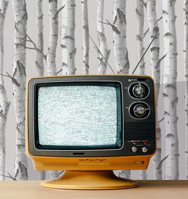 Birch Tree Forrest Peel and Stick Wallpaper living room