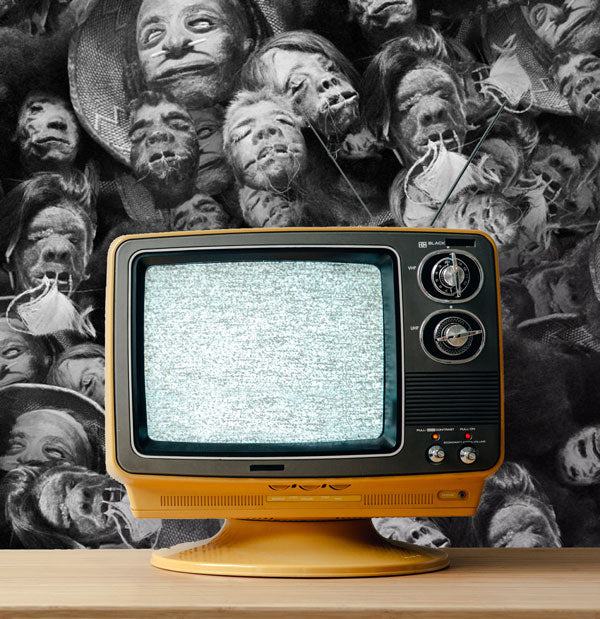 Odities peel and stick wallpaper black and white shrunken Heads living room