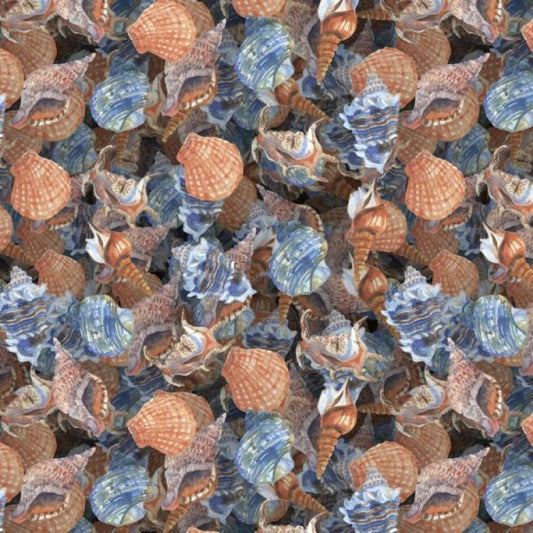 Seashells on black Wallpaper