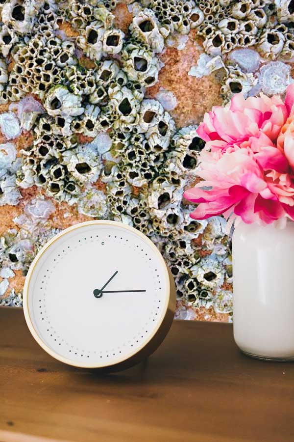 Barnacles Peel and Stick Wallpaper living room