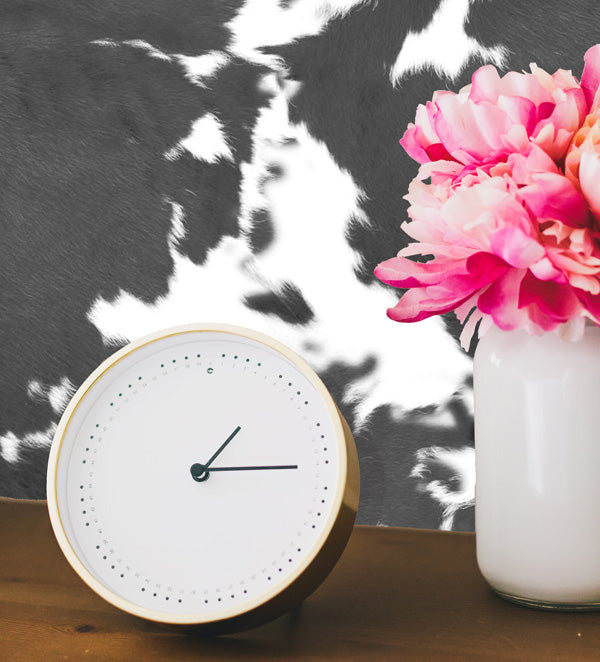 Black Longhorn Cow Print Peel and Stick Wallpaper short hair living room