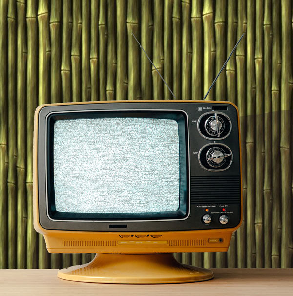 Dark Bamboo Peel and Stick Wallpaper living room