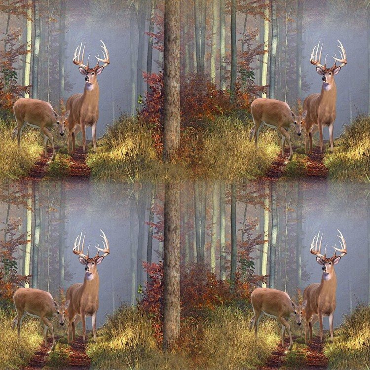 Outdoorsman Peel and Stick Wallpaper Collection