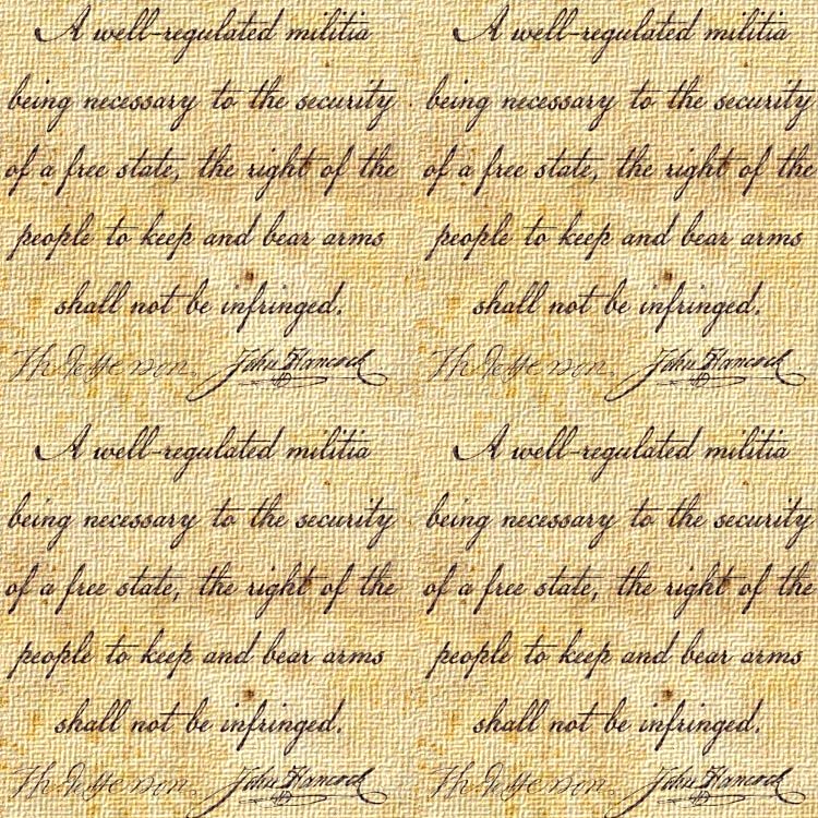 Second amendment text on a canvas textured wallpaper background