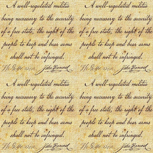 Second amendment text on a canvas textured wallpaper background