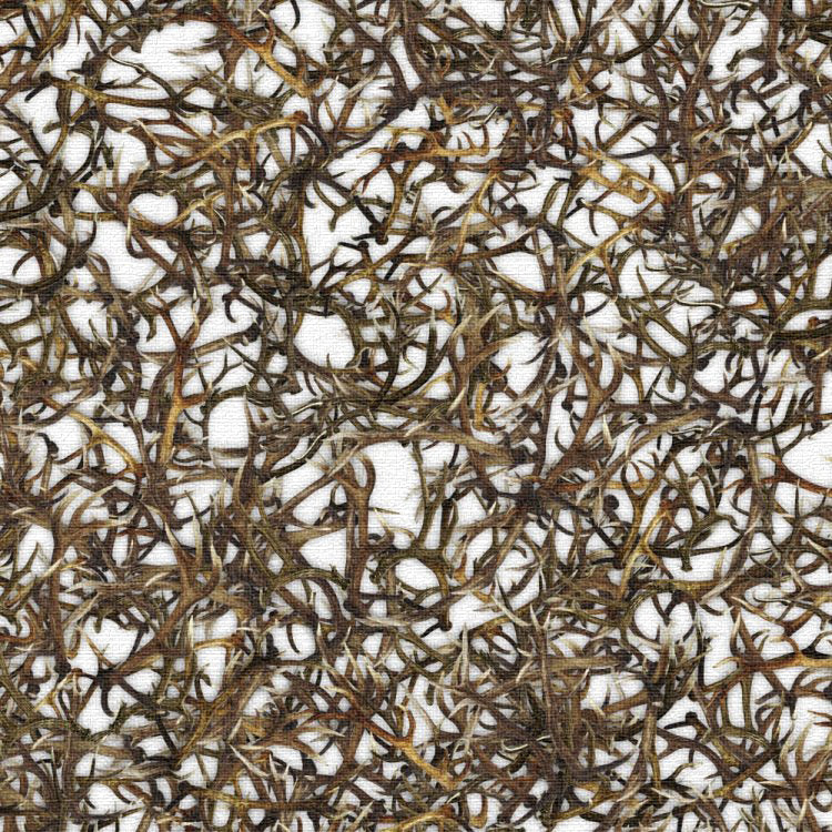 Textured Elk and Deer Sheds Wallpaper Pattern on White Background