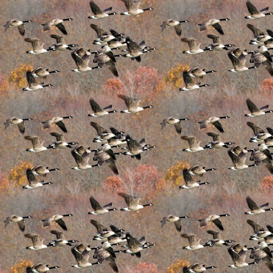 Geese Wallpaper
