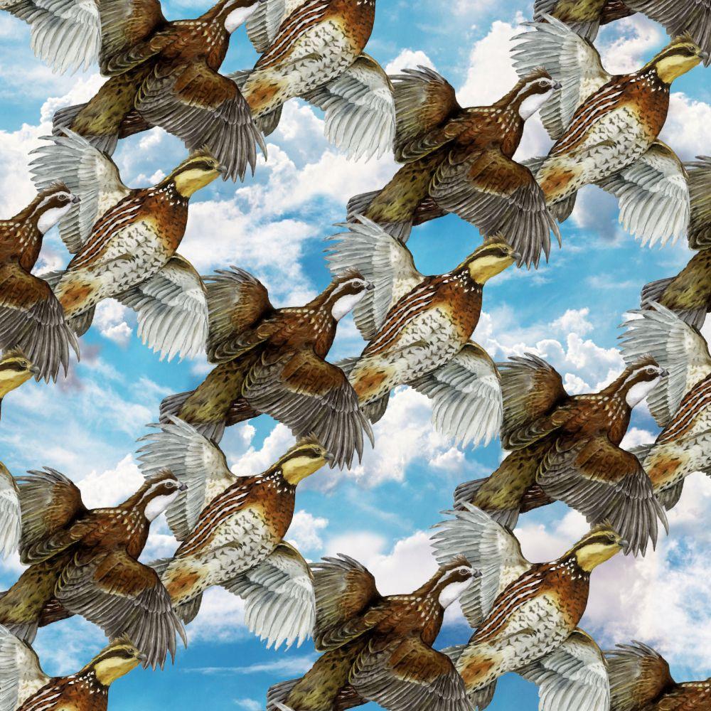 Quail Covey Wallpaper