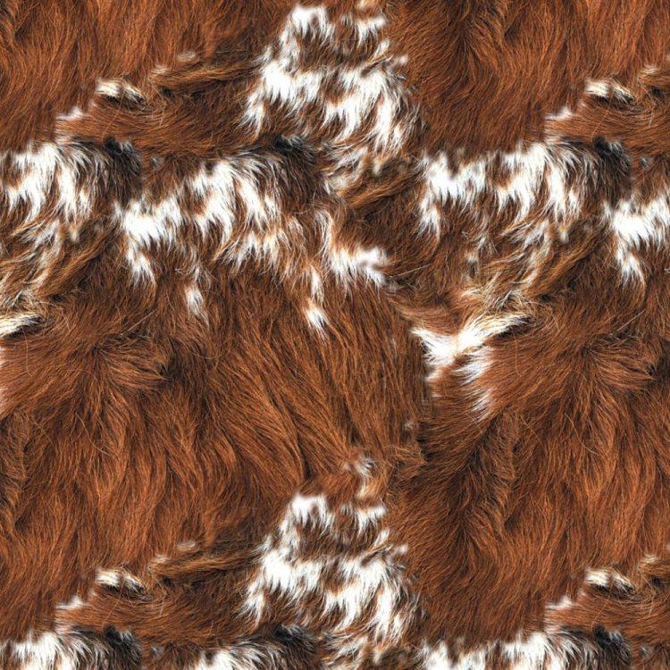 Orange Longhorn Hide Wallpaper