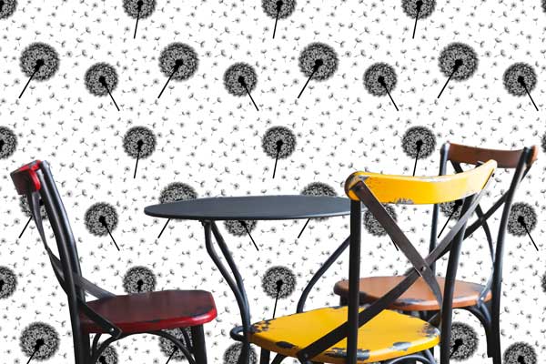 Dandelion Puffs Floral Peel and Stick Wallpaper Black and White café 