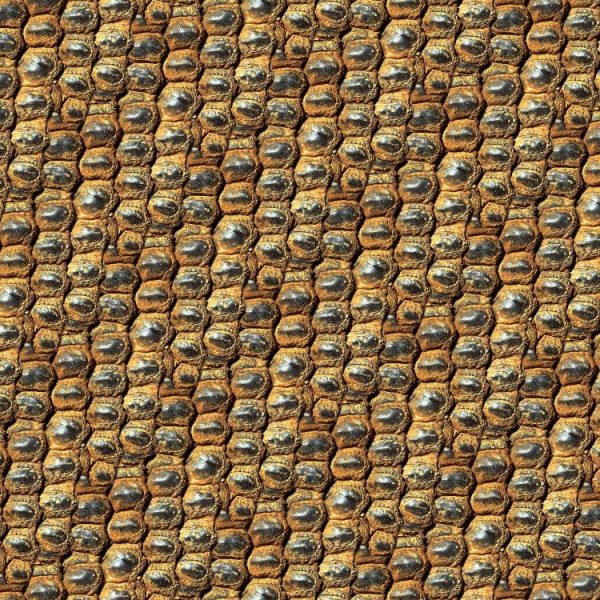 Dragon Leather Wallpaper