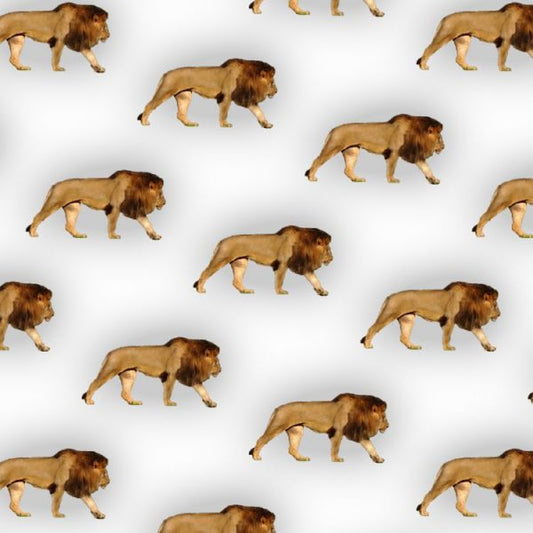 Lion Wallpaper