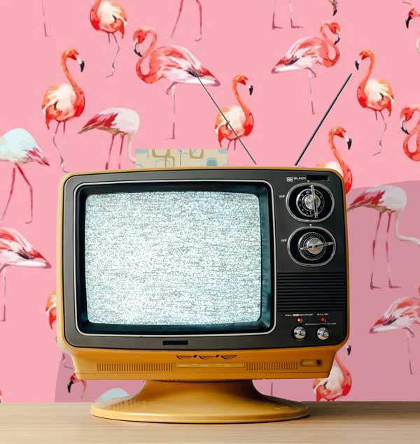 Flamingos Wallpaper